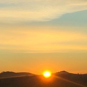 Meet your Posher, Em